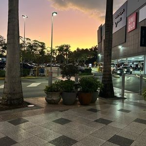 Meet your Posher, Bella